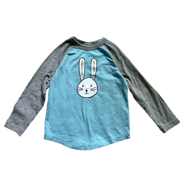 Hanna Andersson long sleeve baseball t-shirts bundle of 2 kids size 110 (US 5) - Picture 4 of 10